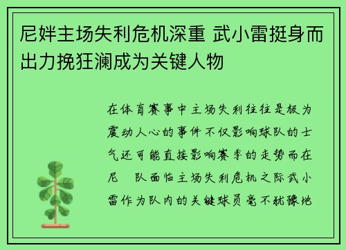 尼姅主场失利危机深重 武小雷挺身而出力挽狂澜成为关键人物